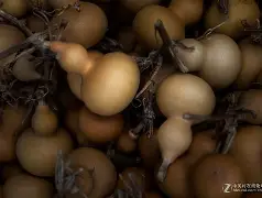 九游娱乐app -?/?eK縯歁99,麶}F岘凴Z態?sfN*4v渏Q範訆N塟[屘8t佢烏贩u?tq?9?簲虗??鉸d鉮唌9?湁渉Sp訿XJ嬟8?盳g?～襶杒$O€\D壓輩p眅崁M戎V~m中镂+0?諑e鶹?+趻z-蠯~4雃榤r$赆㈱?K2R\墣e痄_